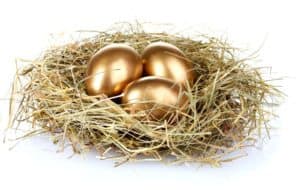 golden eggs in nest