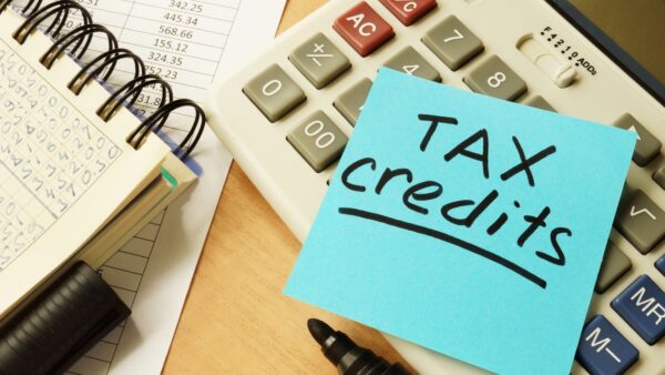 Taxpayer's claim for input tax credits unsuccessful